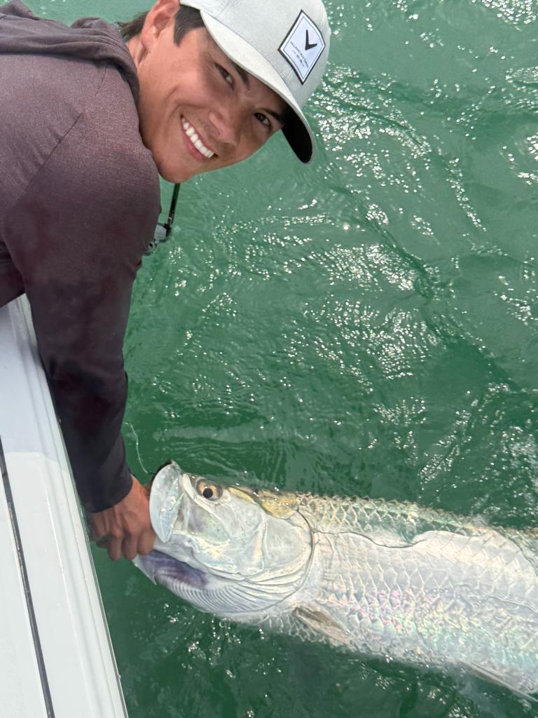 Tarpon