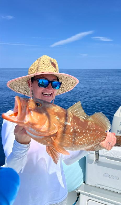 Red-Grouper