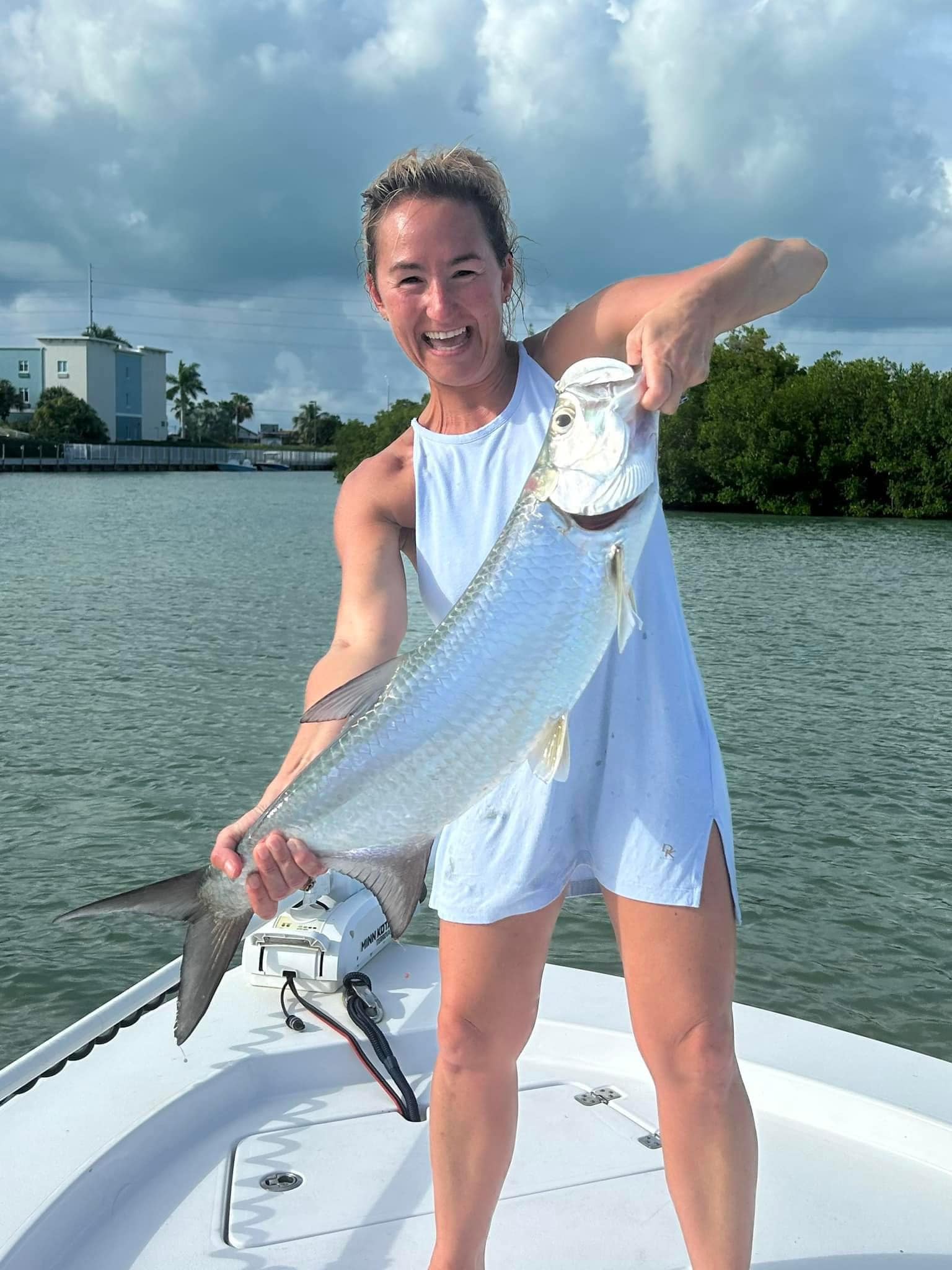 tarpon