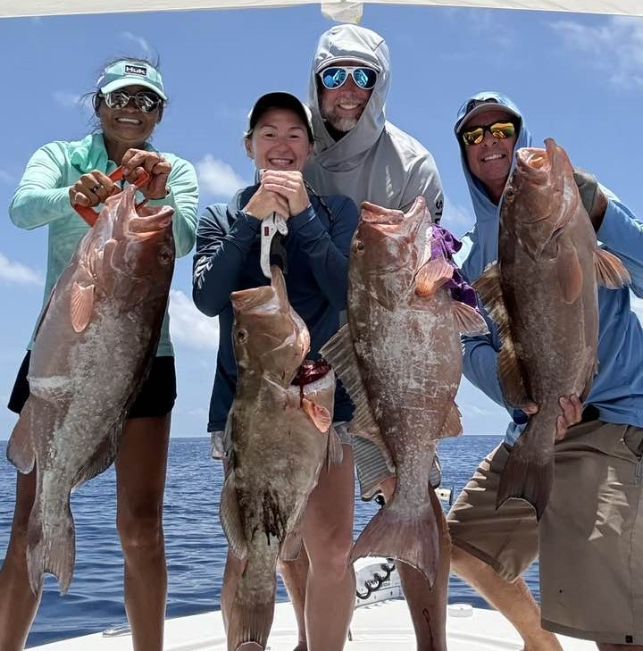 grouper